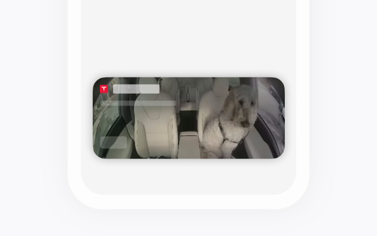 Dog Mode Live Activity on iOS